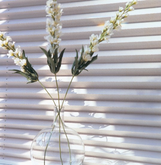 white pleated blinds